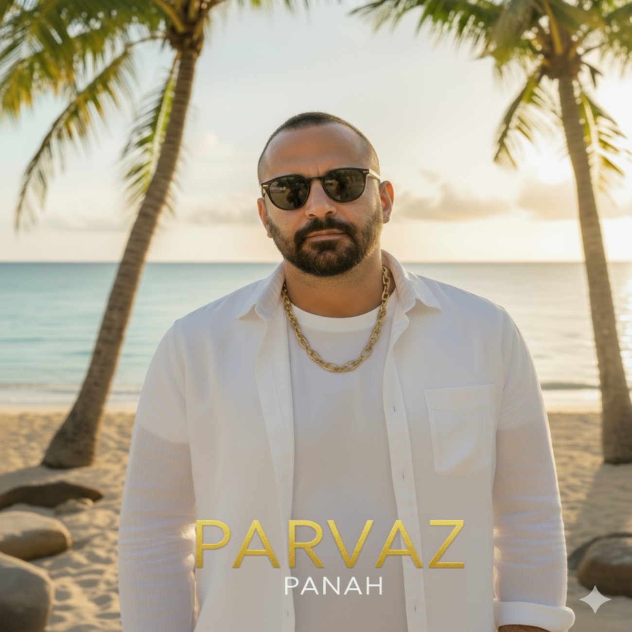 دانلود آهنگ جدید پرواز به نام پناه