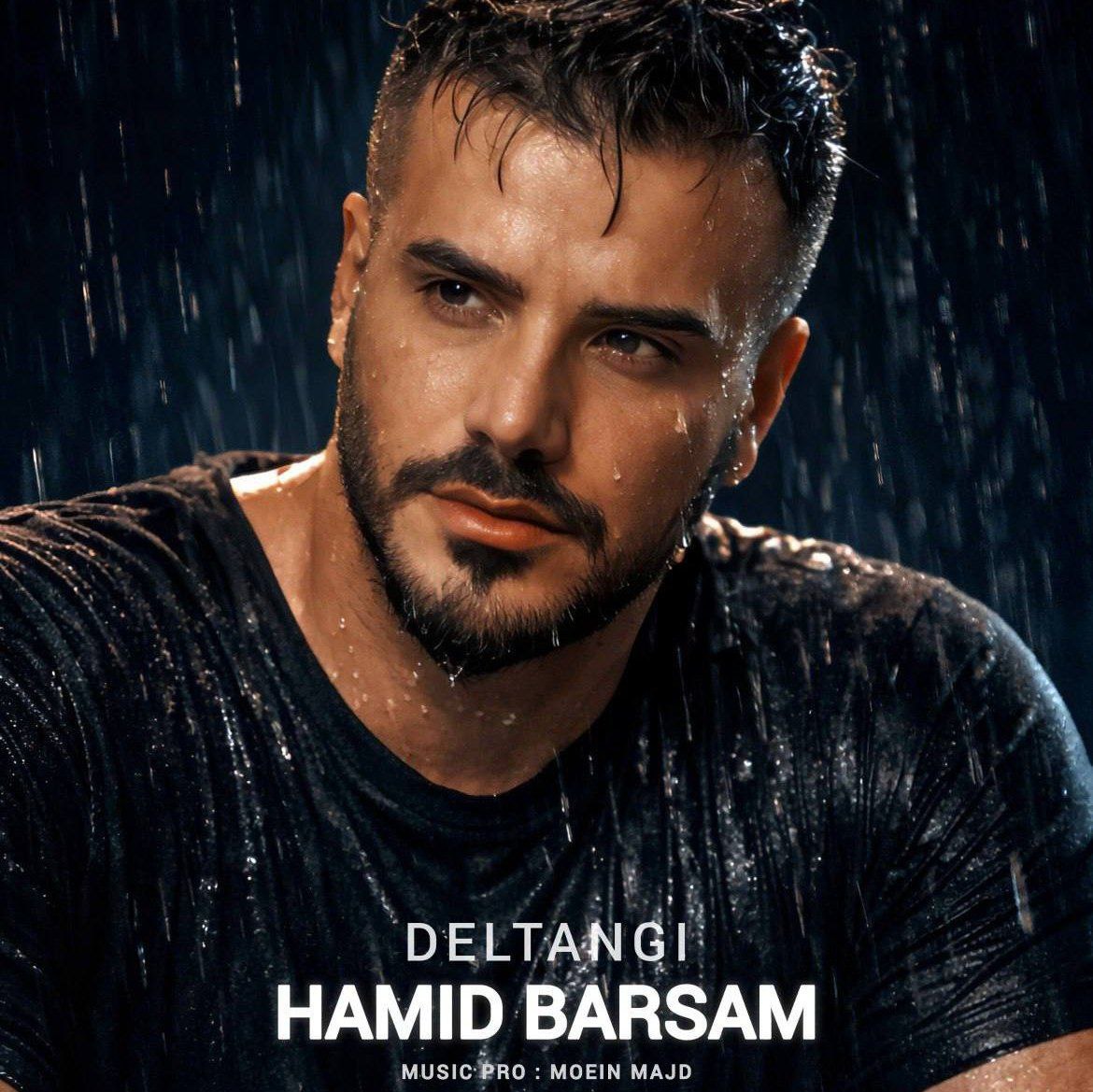 دانلود آهنگ جدید حمید برسام به نام دلتنگی