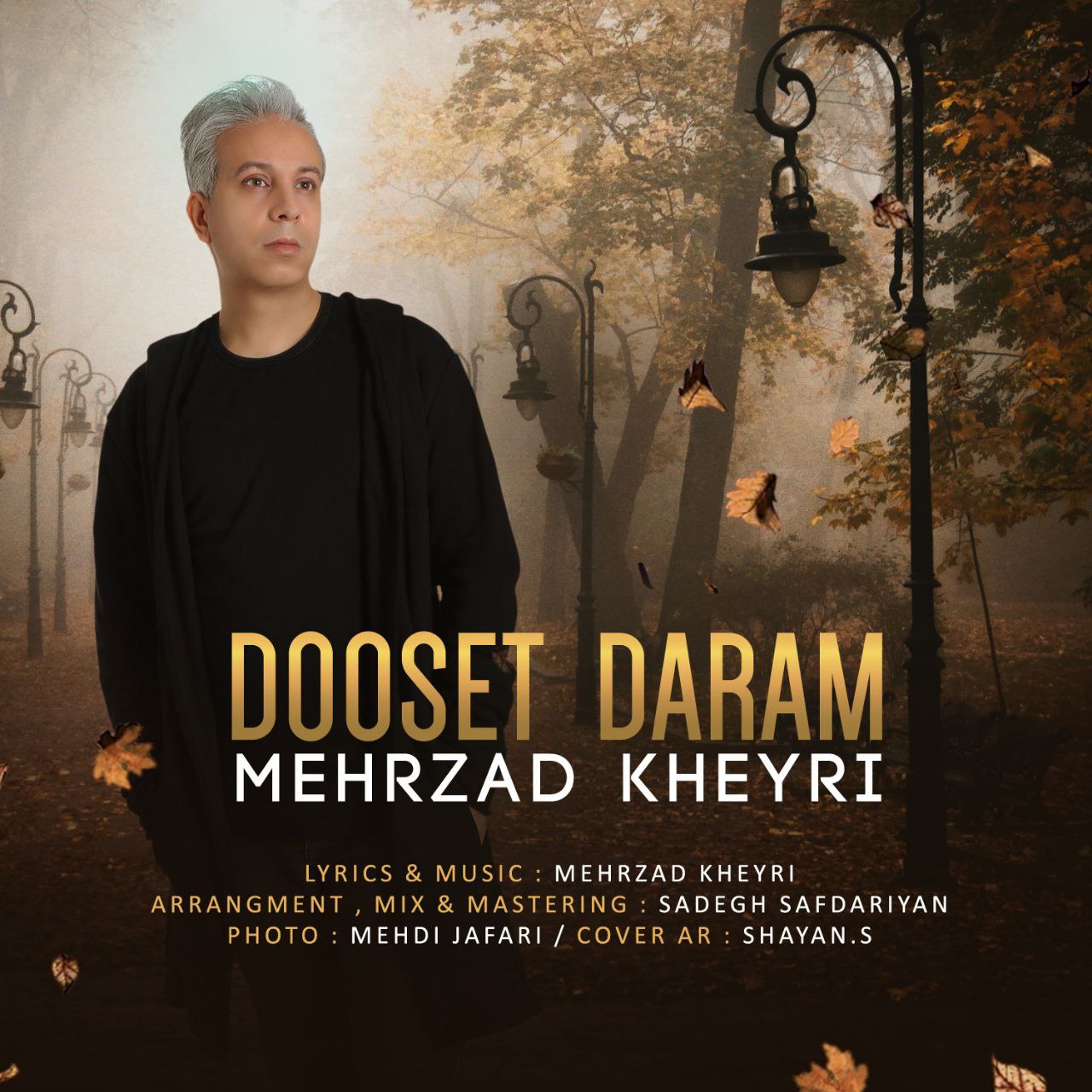 دانلود آهنگ جدید مهرزاد خیری به نام دوست دارم