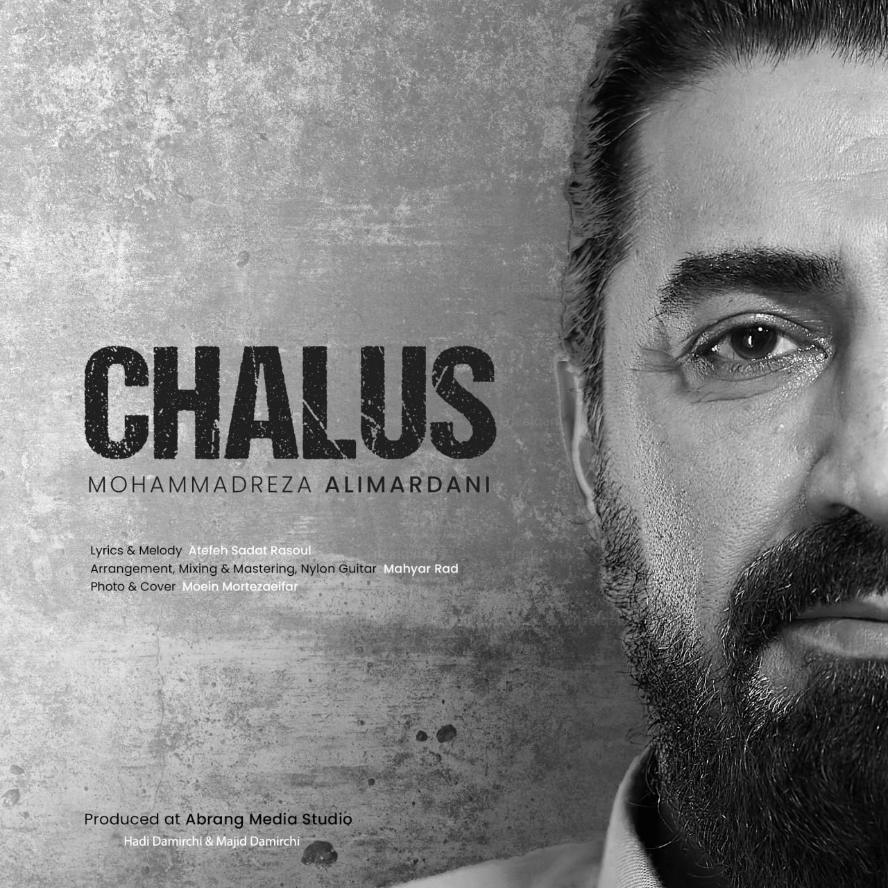 دانلود آهنگ جدید محمدرضا علیمردانی به نام چالوس